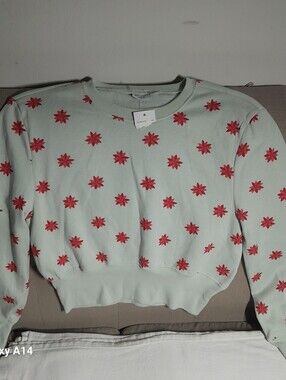Mighty Fine Mint Green Pullover with Brown Trim